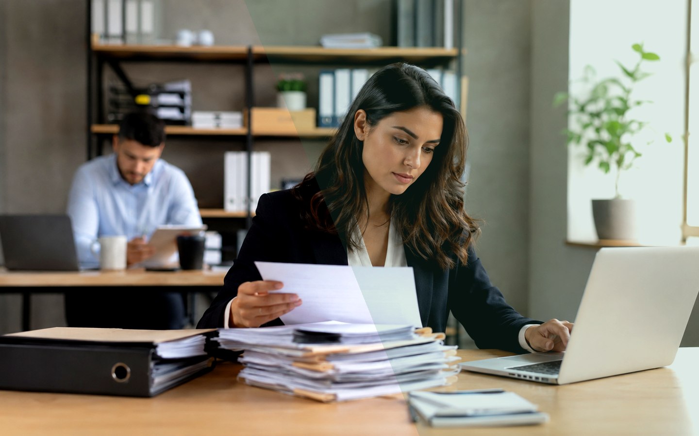 Préparation de documents administratifs